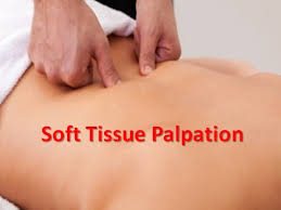 Remedial Massage technique